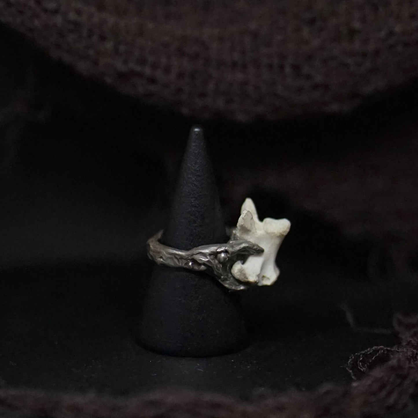 Primordia Ring