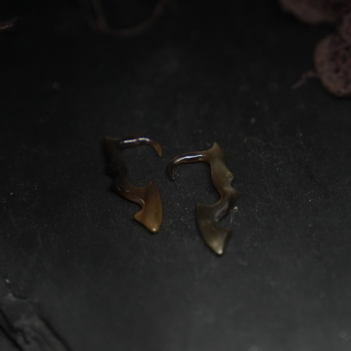 Horn Hook Tapers (X-Small)