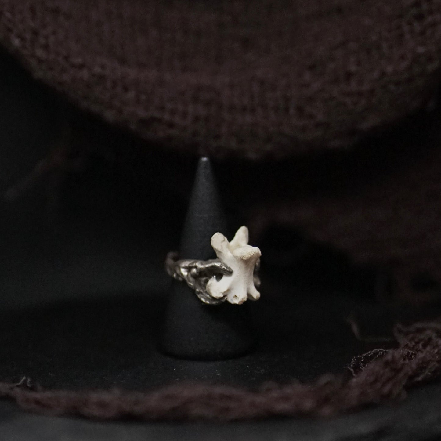 Primordia Ring