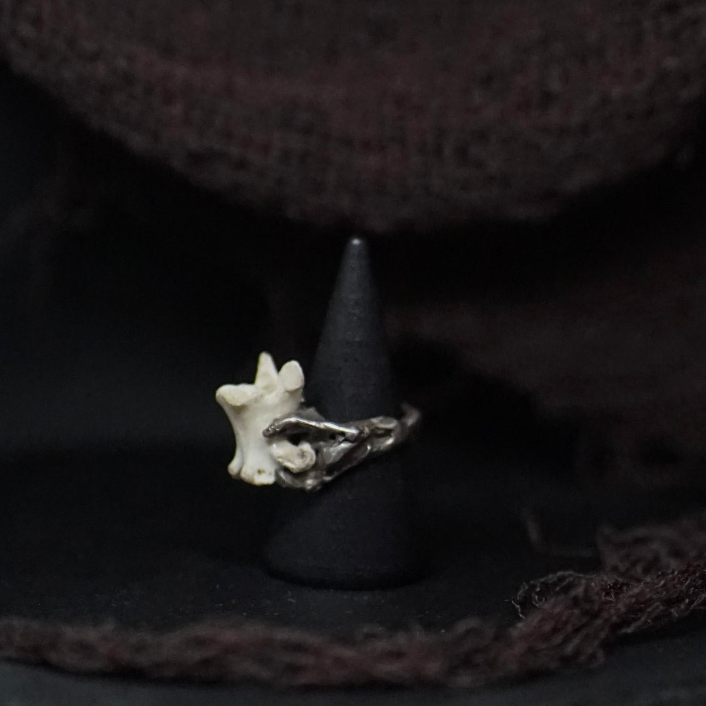 Primordia Ring