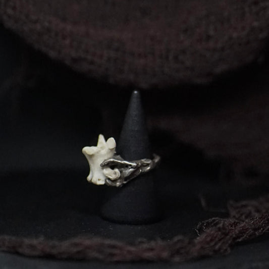 Primordia Ring